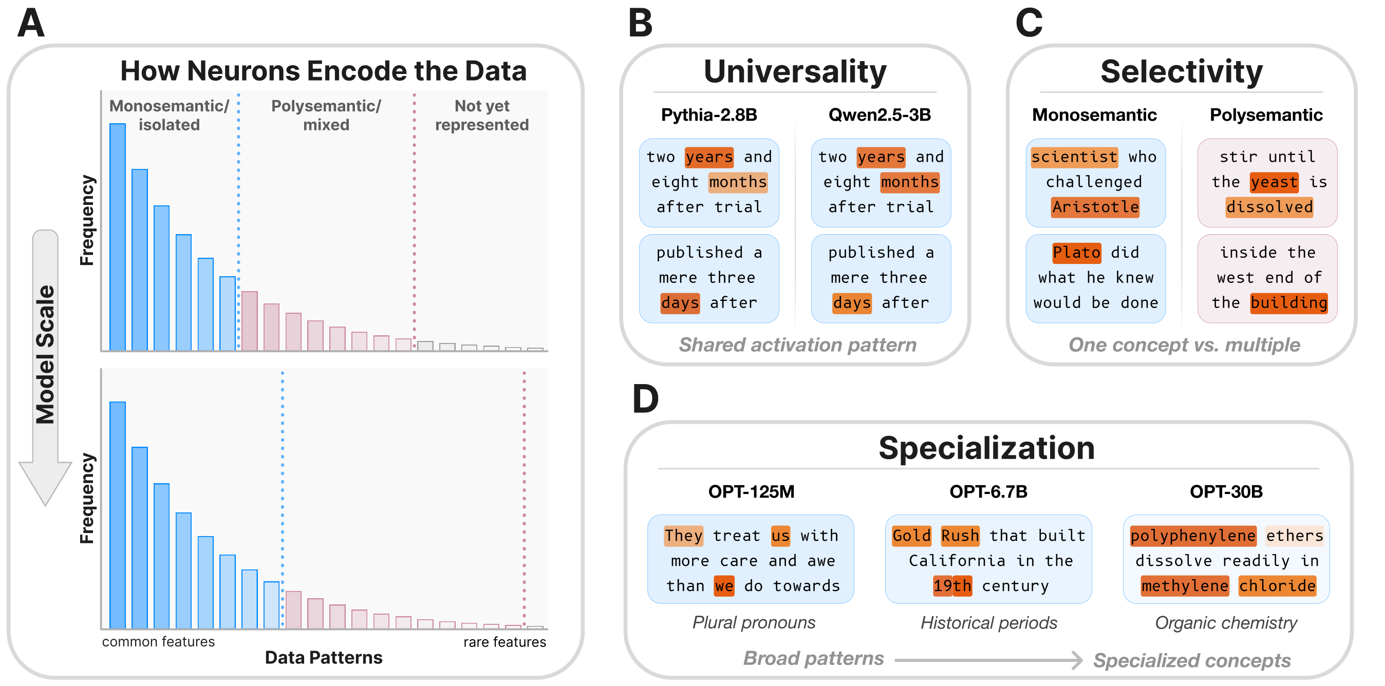 Neuron populations across scale: universality, selectivity, and specialization of Rosetta Neurons.
