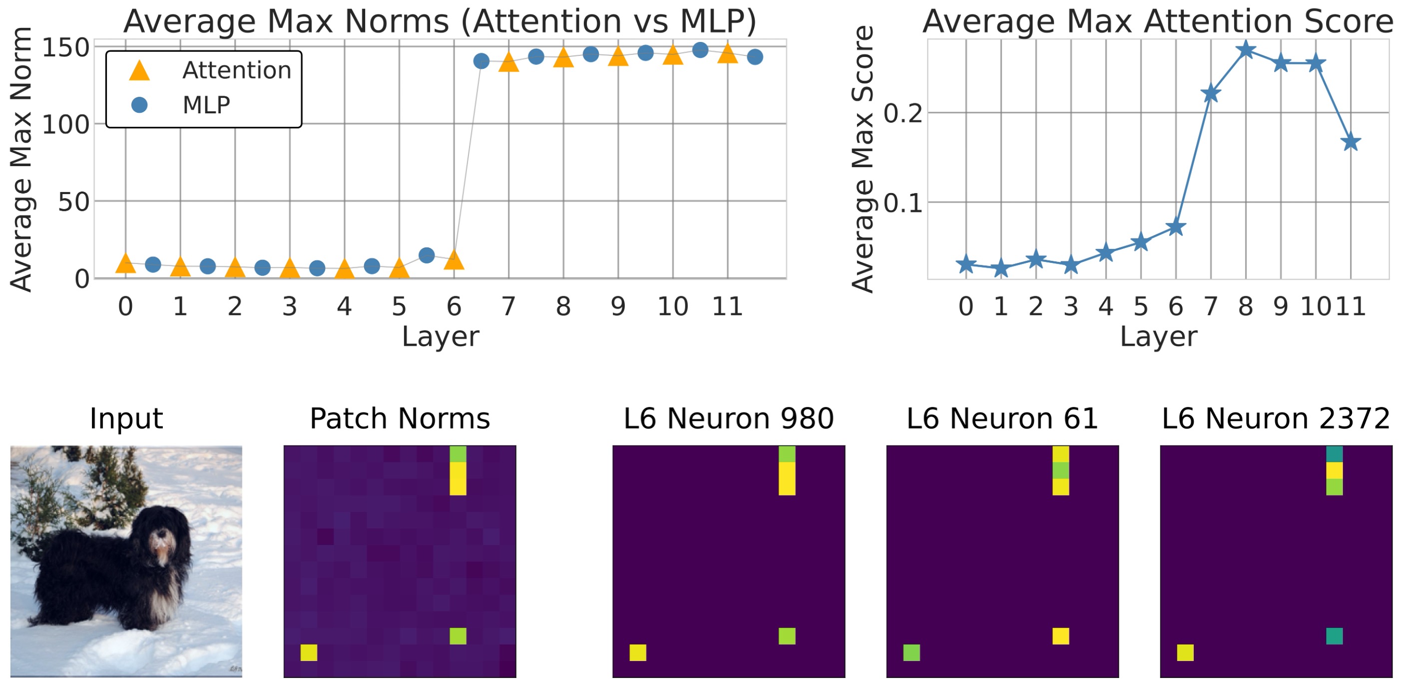 Neuron Analysis
